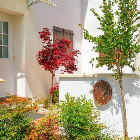 Villa Reiala Plan-De-Cuques Marseille Ngoại thất bức ảnh